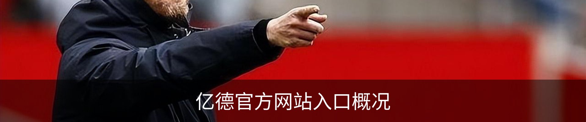 亿德官方网站入口概况